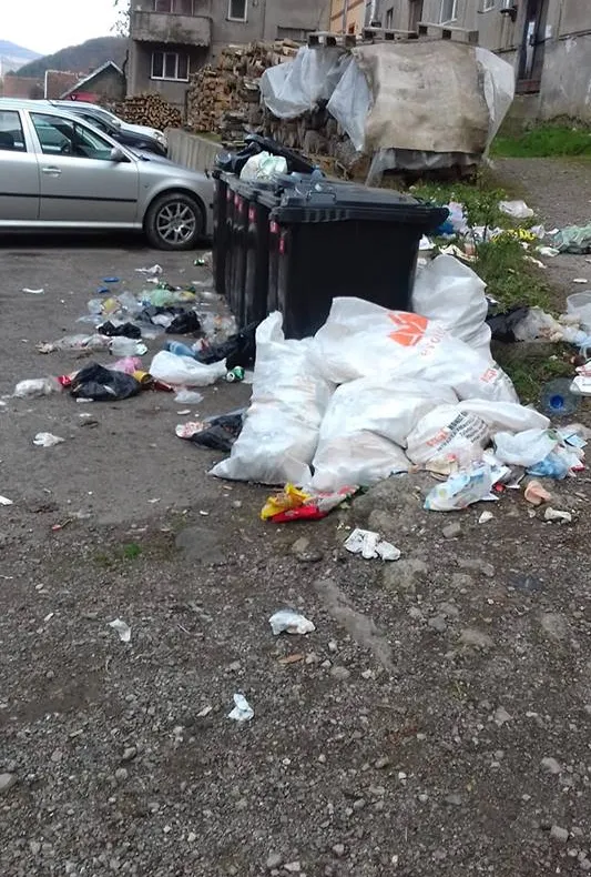 Noul operator de salubrizare din zona Brad, “arătat cu degetul”. Cetățenii acuză că îi lasă cu gunoiul la poartă