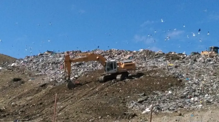 Colectare ecologică la Uricani