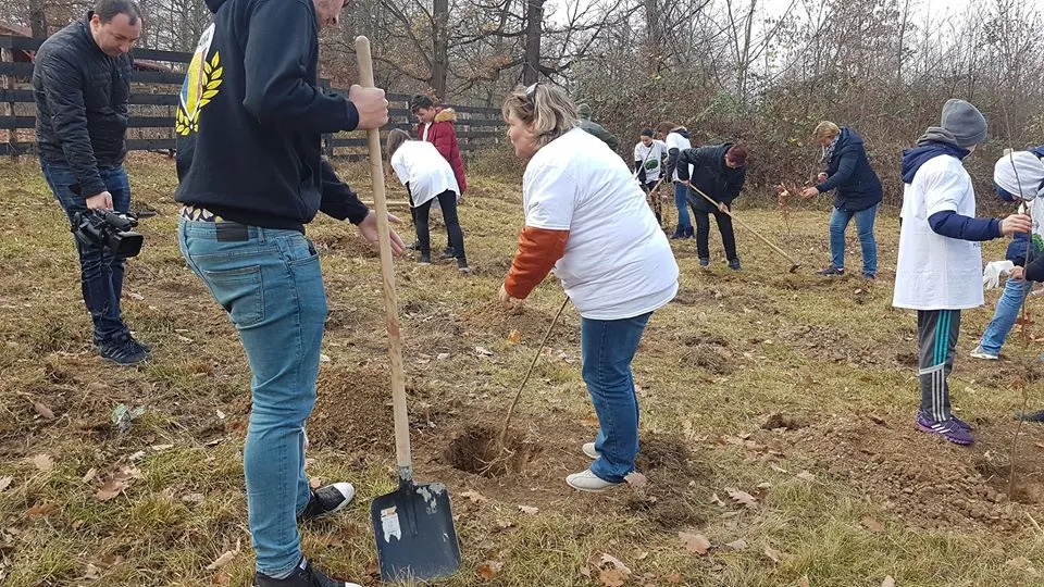 O sută de puieţi de stejar, plantaţi în Pădurea Chizid de lângă Hunedoara