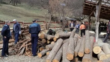 Dispar pădurile. Mai mulți hunedoreni depistați că au tăiat ilegal arbori