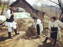 Momârlanii cer o lege dedicată zonei Văii Jiului