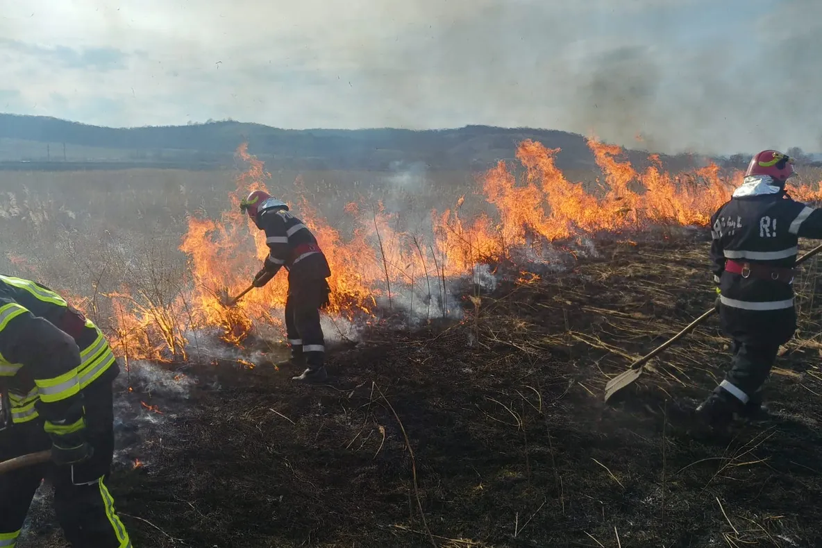 Zeci de incendii de vegetație uscată, în ultimele trei zile, în județul Hunedoara