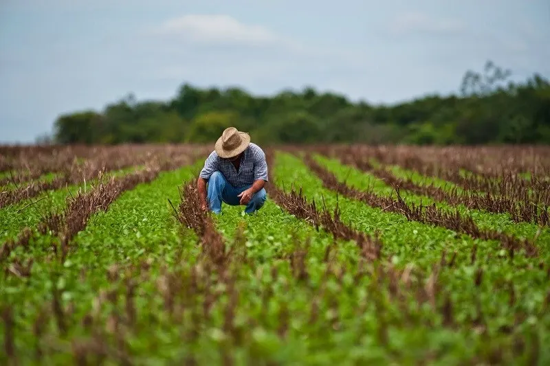 Consilier specialist în domeniul agriculturii