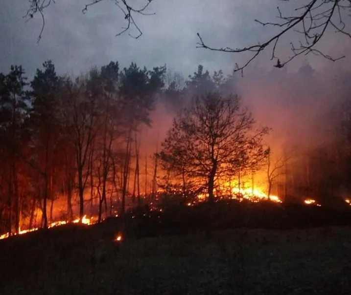 FOTO-VIDEO| Incendiu de pădure, scăpat de sub control. Apelul pompierilor: „Stop arderilor de  vegetaţie uscată!”