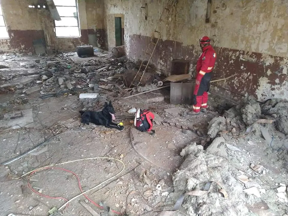 FOTO| O echipă de căutare-salvare canină reprezintă ISU Hunedoara la exercițiul NATO de la Cincu