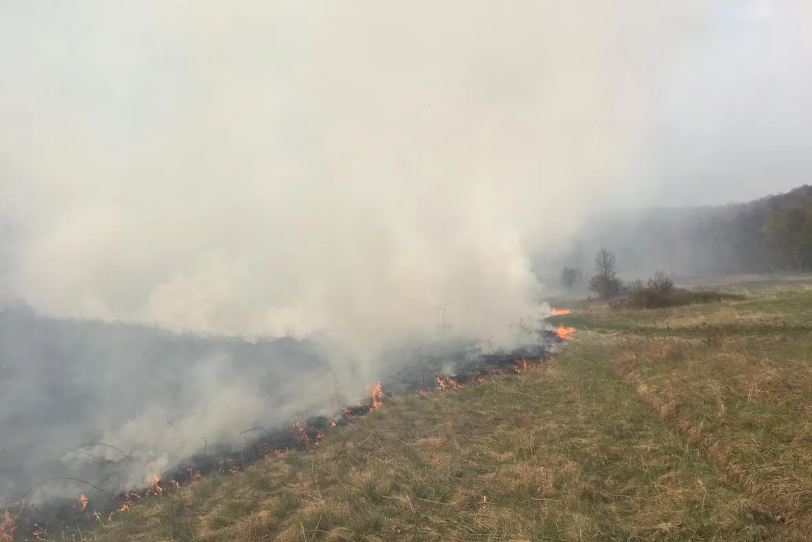 FOTO-VIDEO| Incendiu de vegetație uscată care amenința pădurea și gospodăriile din Cozia