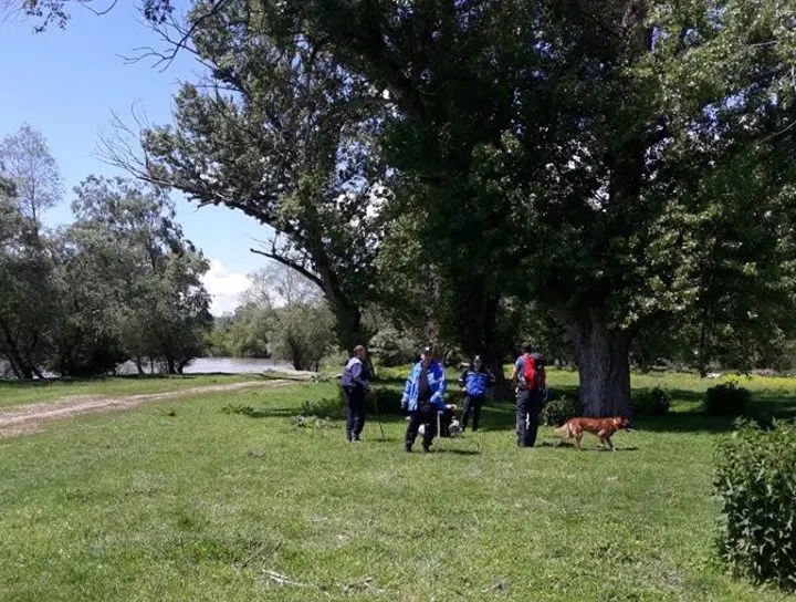 Parcă a înghițit-o pământul! Bătrânica din Geoagiu, dispărută de trei săptămâni, căutată cu câinii de salvare