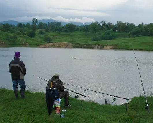 Razie în zona Mureşului, Streiului şi a bălţilor învecinate. Amendaţi după ce au fost prinşi la pescuit în perioada de prohibiţie