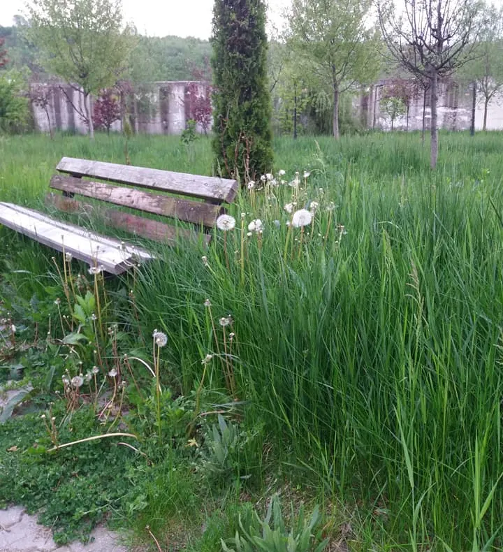 Teren de sport reabilitat într-o zonă cu vârstnici