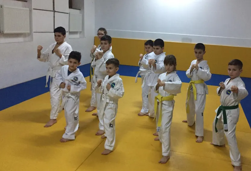 Demonstraţie de taekwondo, între zidurile fortăreţei medievale din Deva