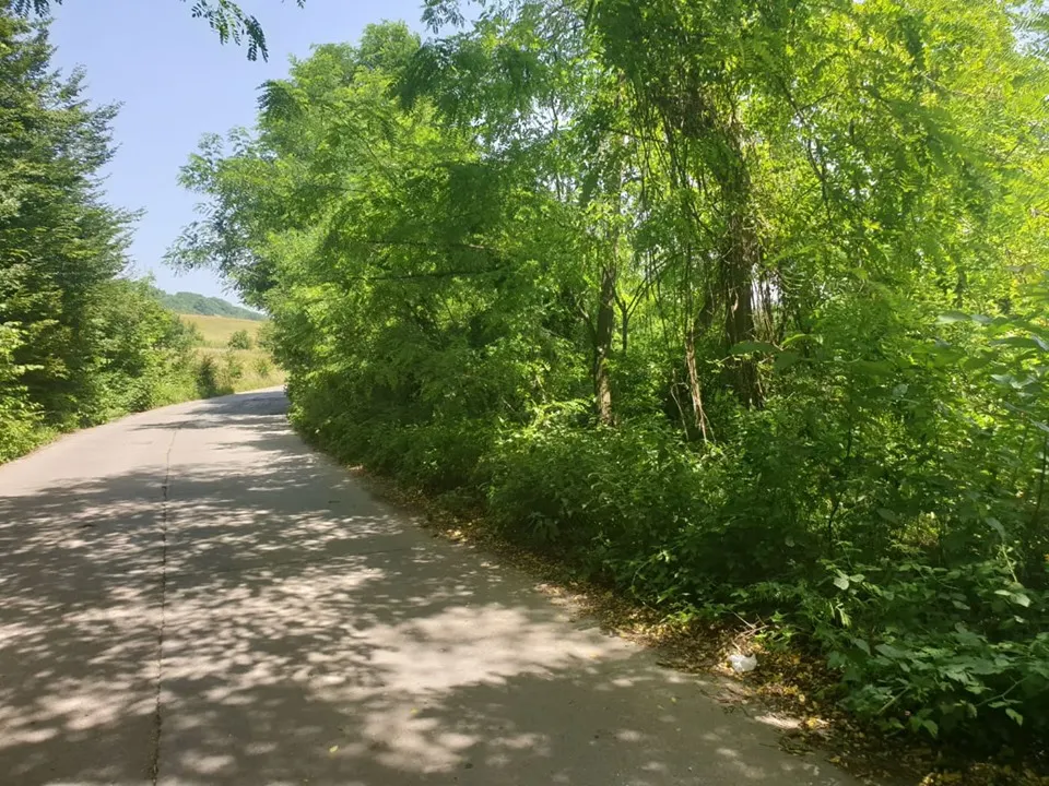 Încă un drum județean intră în reparații: Dobra-Roșcani-Bătrâna