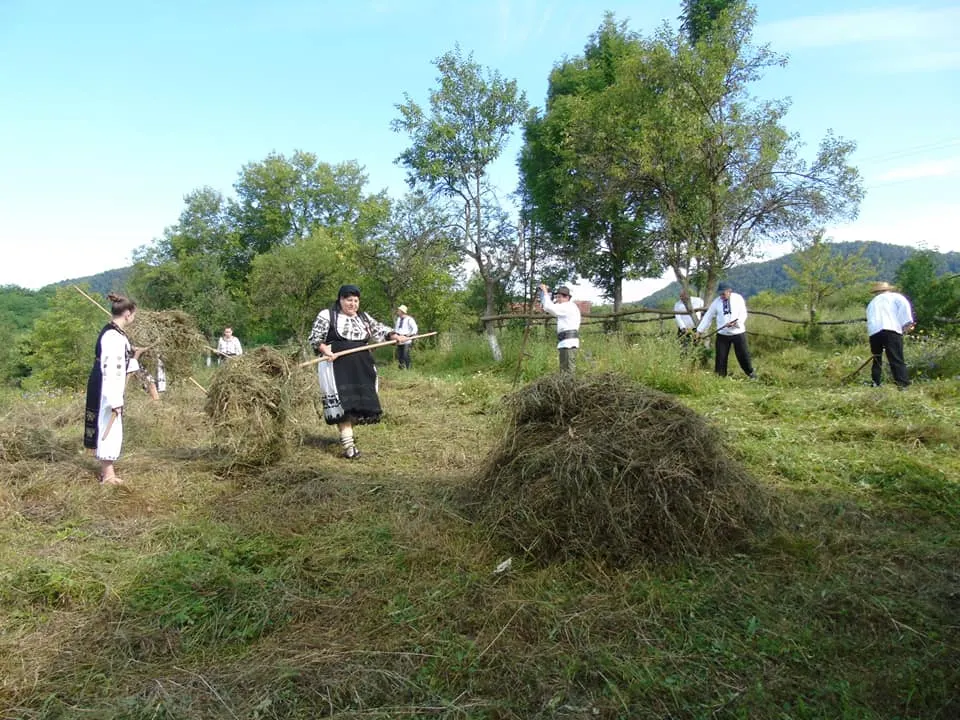 FOTO| La coasă, ca pe vremuri. Sătenii din Ribița au readus la viață claca de odinioară