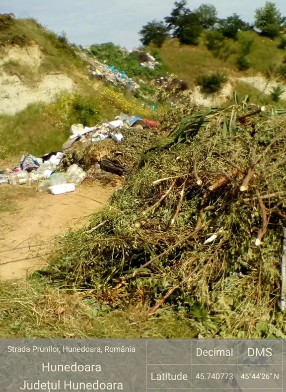 Primăria Hunedoara contestă în instanţă sancţiunea primită de la Garda de Mediu