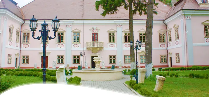 Oameni de știință din toată lumea vor veni la Deva. Muzeul din oraș, gazdă a celui de-al XIV-lea congres internațional de tracologie