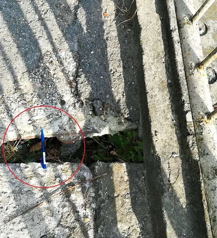 FOTO: Pro Infrastructura cere deschiderea lotului 3 al autostrăzii