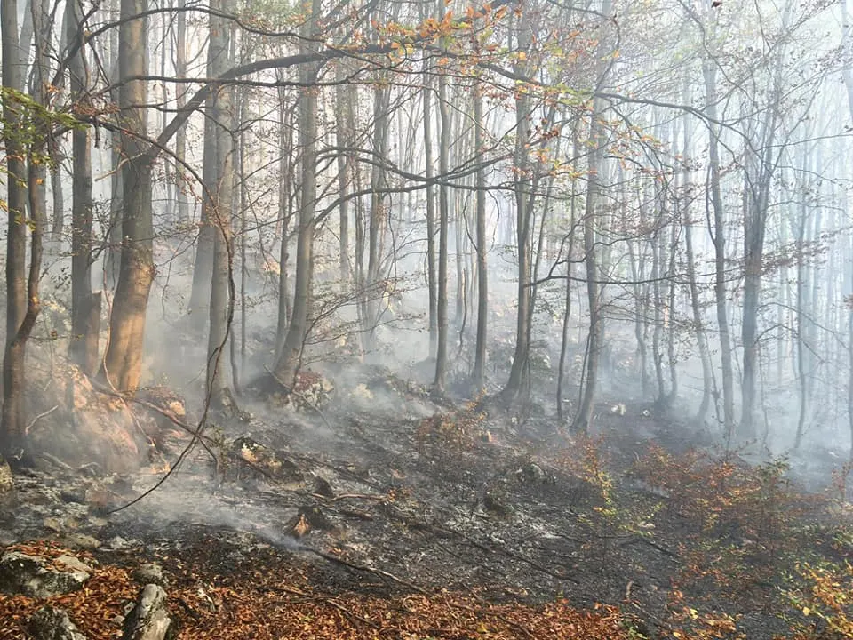 Au reuşit să câştige lupta cu focul! Pompierii au stins cele două incendii izbucnite în nordul și sudul județului Hunedoara