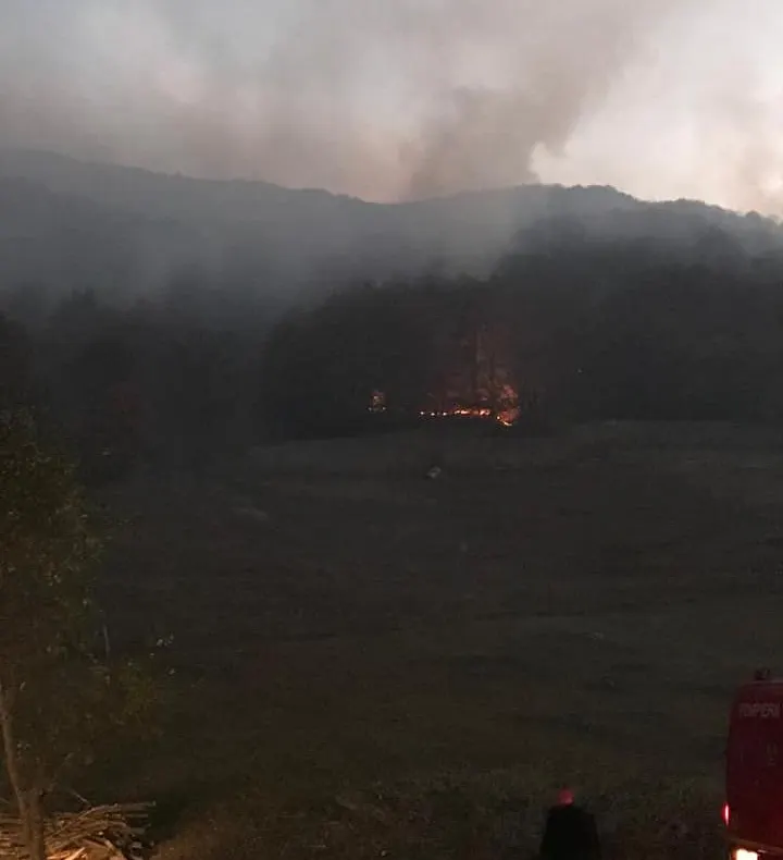 Cele două incendii de pădure, din nordul și sudul județului, sunt încă active