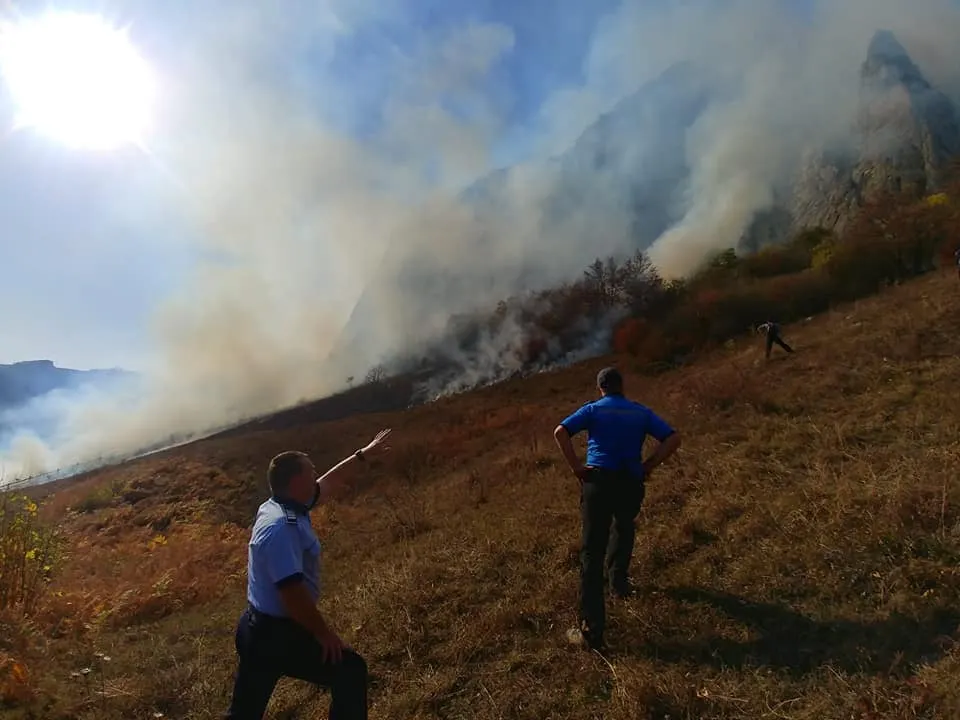 Arde pădurea în nordul și sudul județului. Pompieri și pădurari luptă să stingă focul