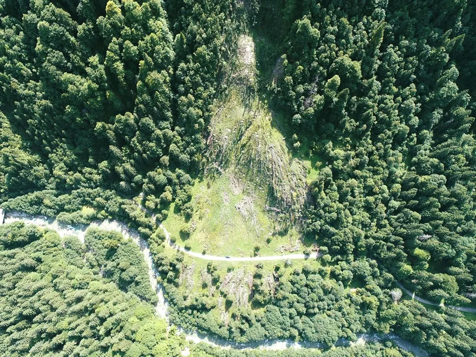 Romsilva informează de ce nu se ridică arborii căzuți în Parcul Național Retezat