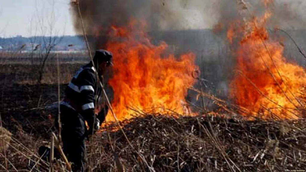 14 incendii de vegetație uscată, izbucnite, în ultimele trei zile, în mai multe localități ale județului