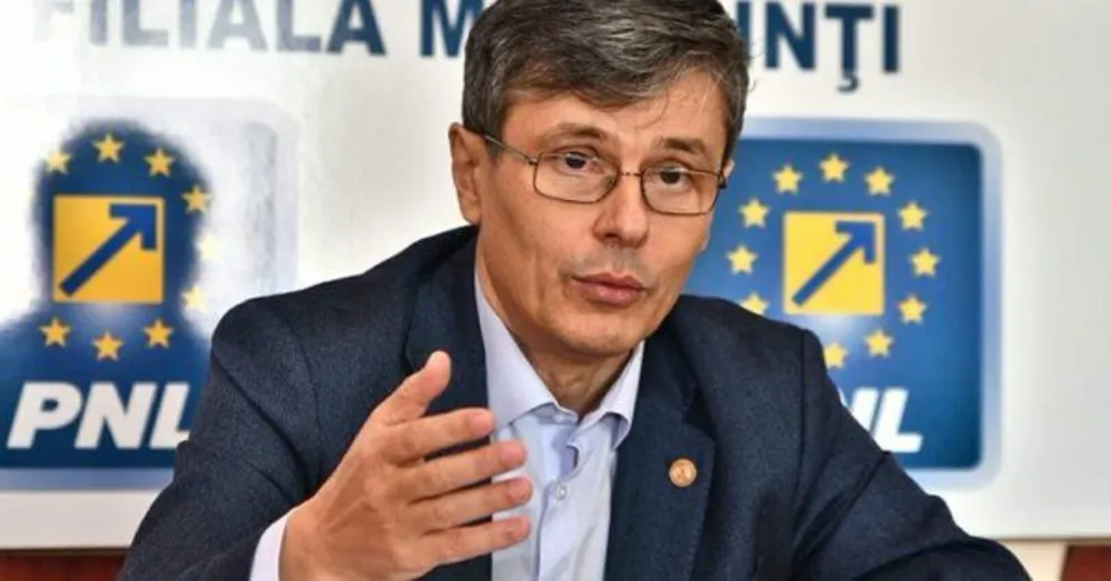 Ministrul propus al Economiei și Energiei, mesaj tranșant pentru Viorica Dăncilă
