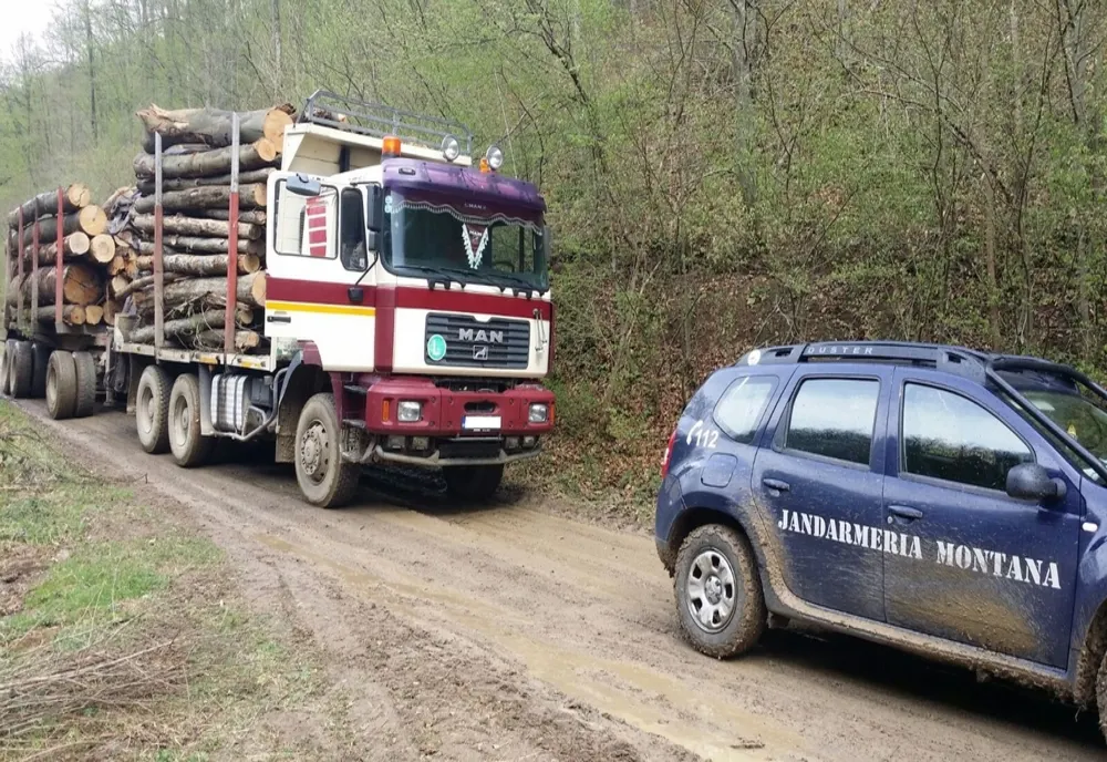 Jandarmii hunedoreni au făcut bilanțul acțiunilor organizate în păduri, în acest an. Câte infracțiuni silvice s-au constatat