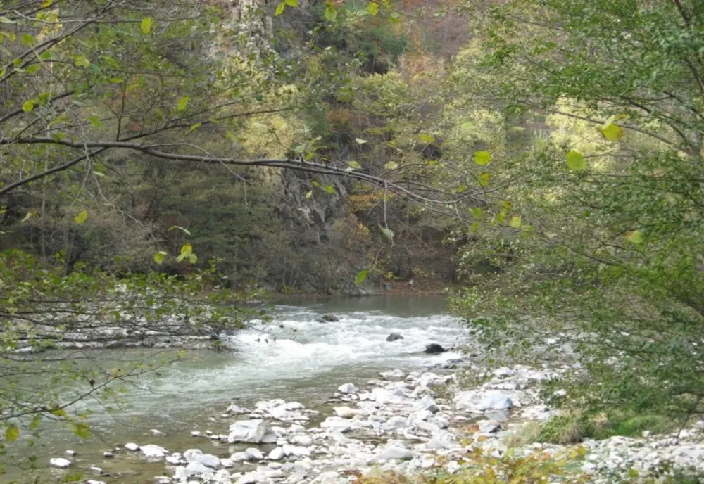 Atenție la vipere și animale sălbatice. Pe anumite trasee turistice vă puteți întâlni cu ele