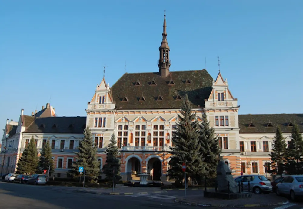 Noi date despre alegerile din județul Hunedoara. Cine a câștigat primăriile din județ