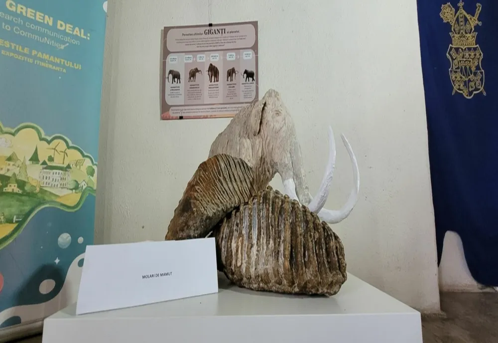 Geoparcurile din România spun ''Poveştile Pământului'' la Castelul Corvinilor