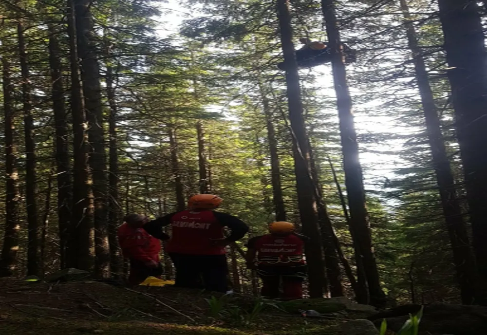 Parapantist eșuat într-un copac și un turist mușcat de o viperă