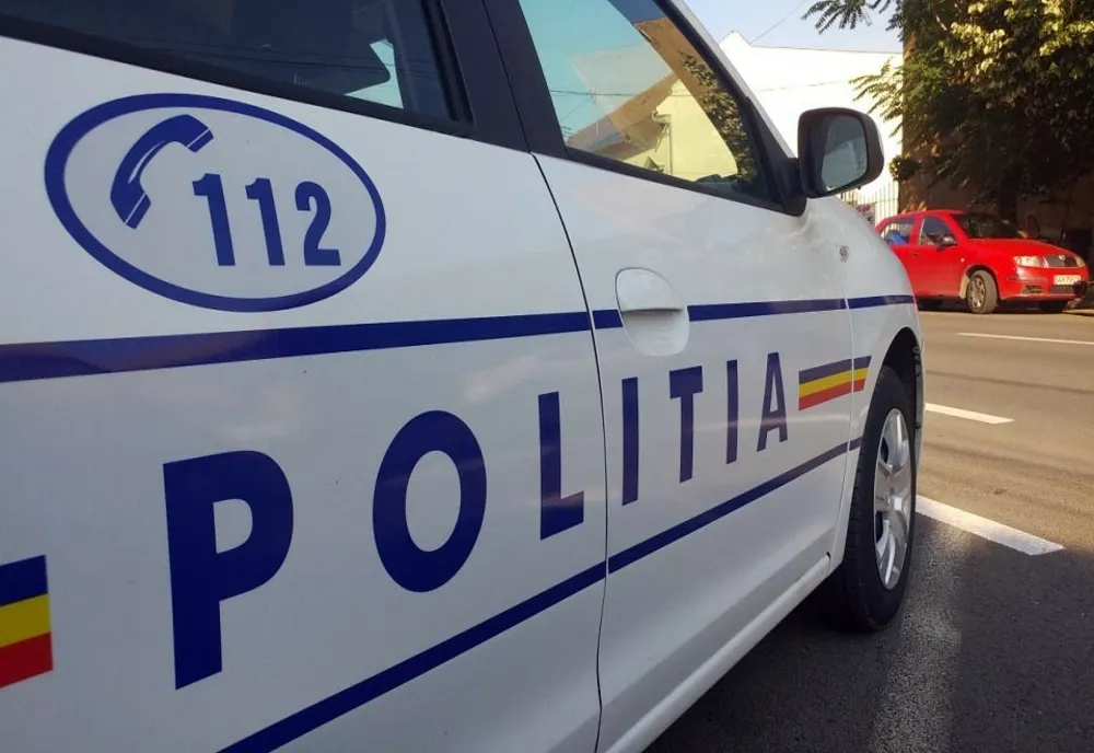 Incident sinistru în județul Hunedoara. Un copil a ucis în bătaie doi cățeluși, cu o cruzime extremă