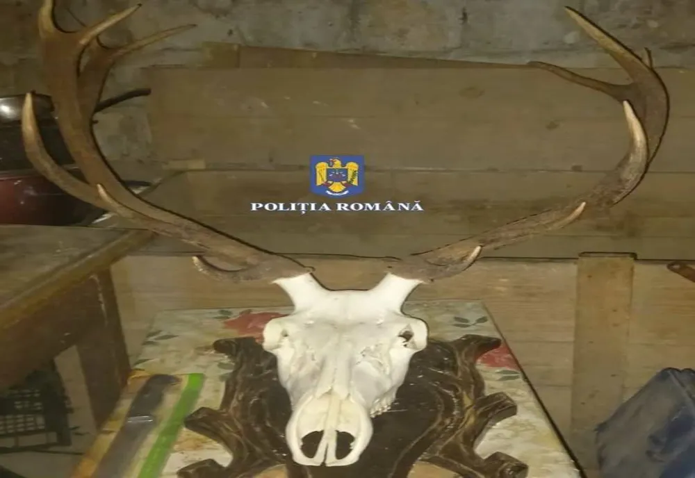 Percheziții la domiciliile a doi bărbați din județul Hunedoara, suspectați de braconaj