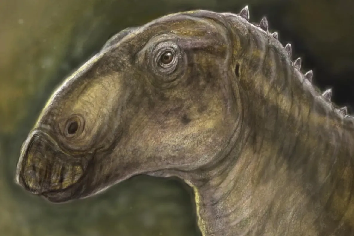 Descoperire arheologică în România. O noua specie de dinozaur descoperită în Geoparcul Țara Hațegului