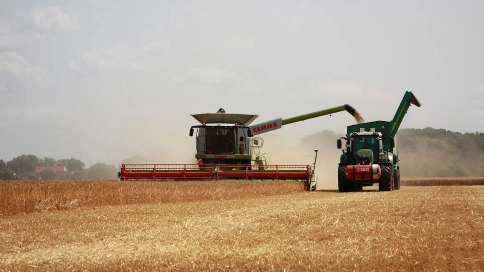 Vremea extremă scumpește mâncarea. Fenomenul El Nino aduce un șoc economic