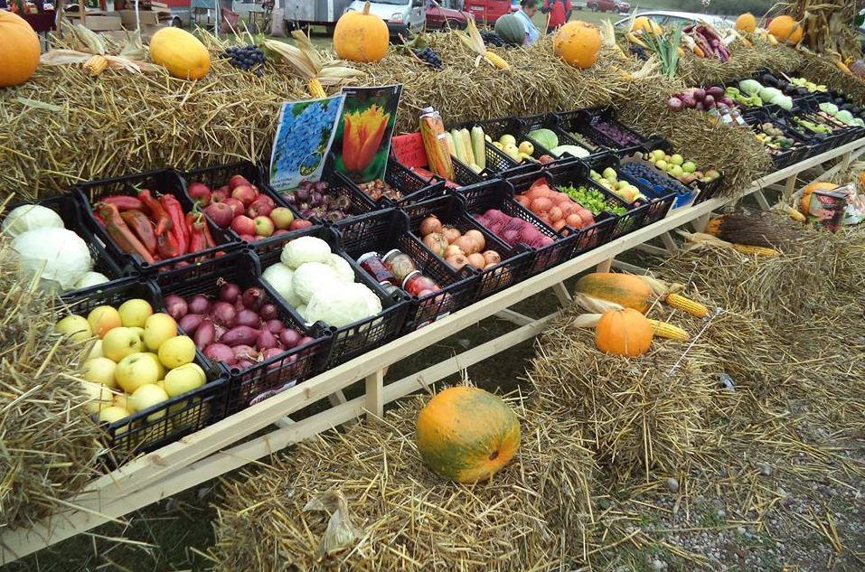 Sărbătoare a toamnei pe platoul de la poalele Cetății din Deva. Localnicii, așteptați la „Ziua Recoltei”