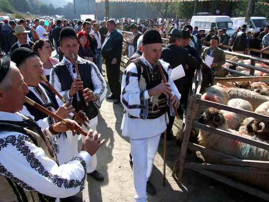 „Țurcana -Regina Munților”: Sărbătoarea crescătorilor de ovine se ține la Costești, dar... fără oi