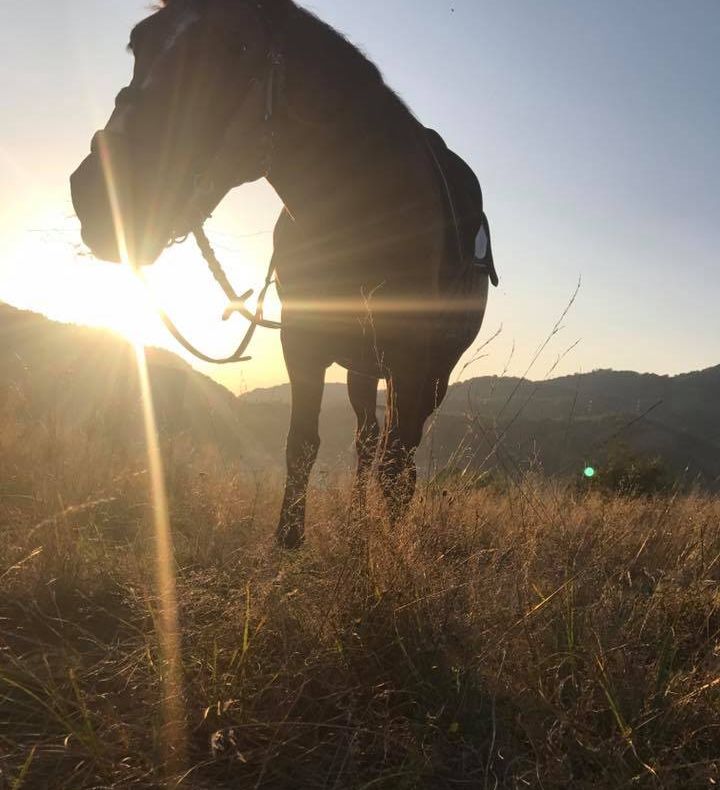 Drumeții prin frumusețile Văii Jiului