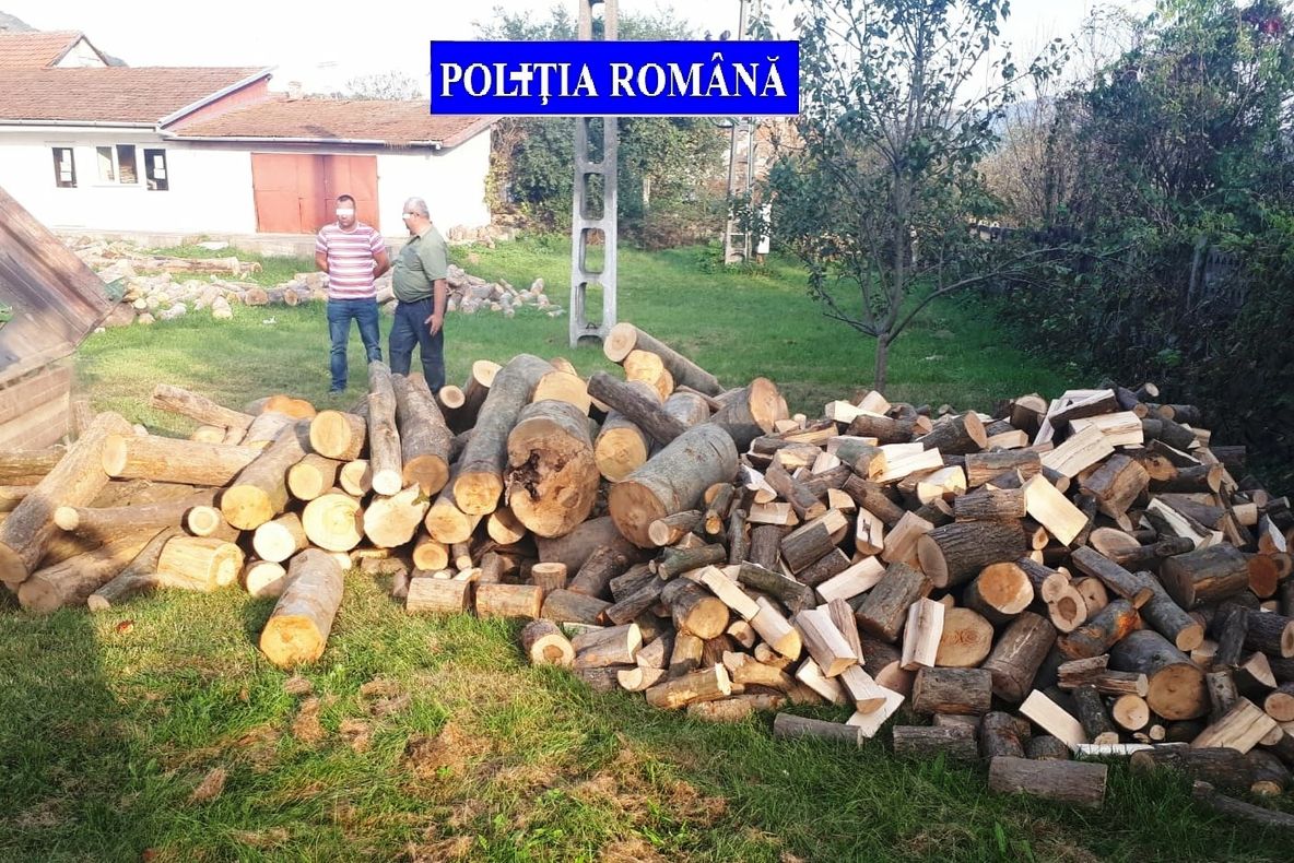 Tăierile ilegale de arbori, în vizorul polițiștilor. Razii în câteva localități ale județului