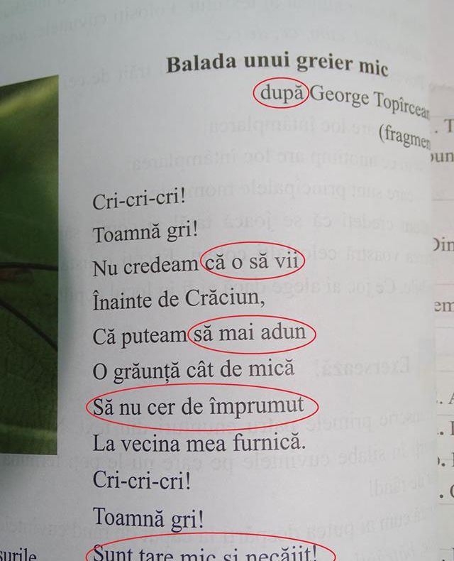 „Balada unui greier mic”, MASACRATĂ în manualul pentru clasa a doua.  Greșeala, semnalată de o profesoară din Petroșani