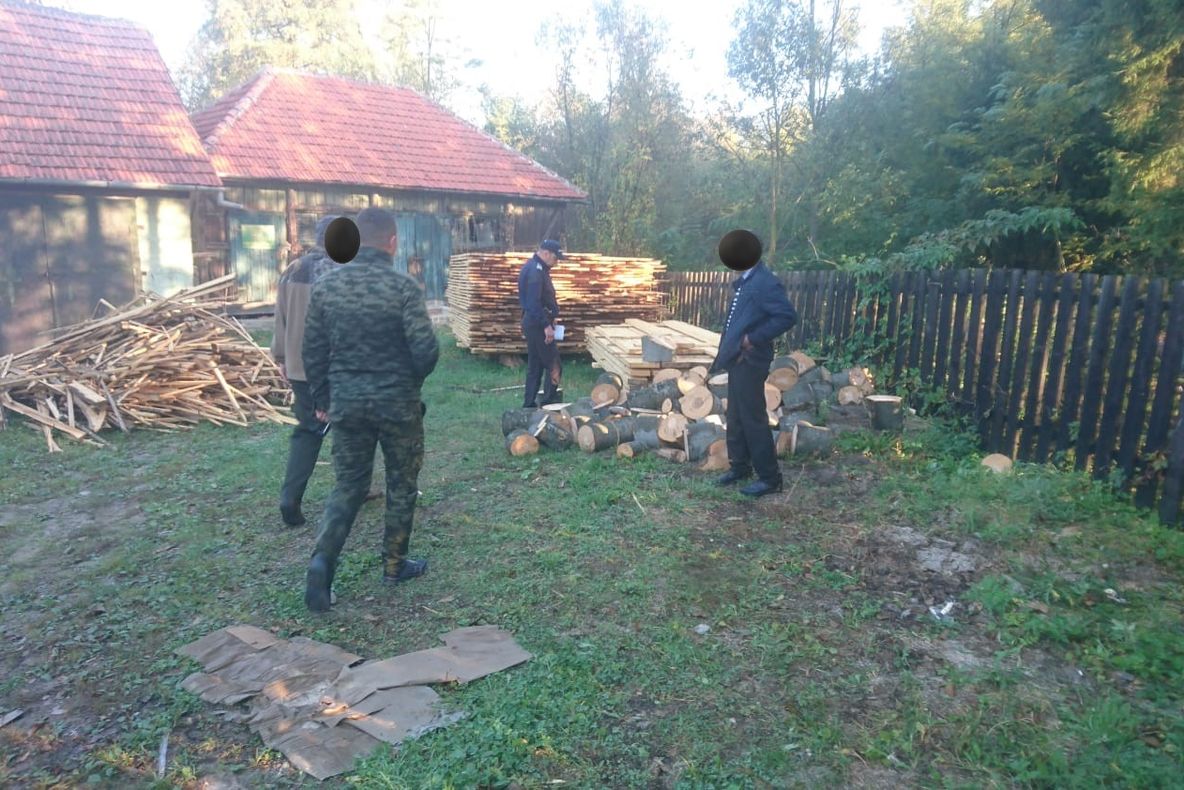 Hunedorean prins de jandarmi cu o mașină plină cu lemne de foc