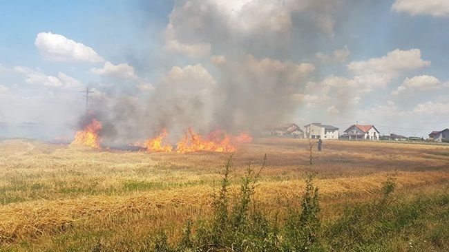 Garda de Mediu, apel către cetățeni: „Nu dați foc miriștilor și vegetației uscate!”