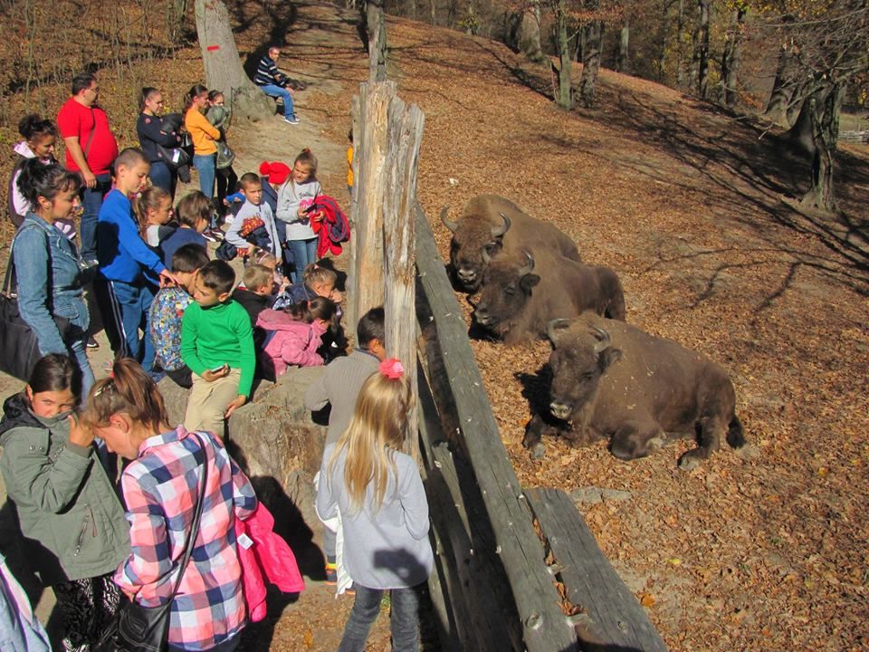 20 de copii din zona marginalizată Cuț -Ghelari, în excursie gratuită în Țara Hațegului