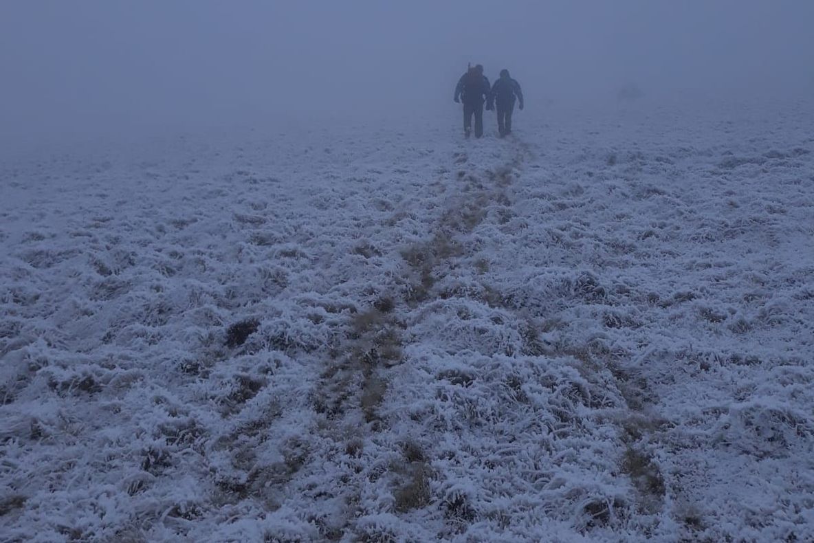 Jandarmii montani hunedoreni, implicați într-un exercițiu care a durat peste 10 ore