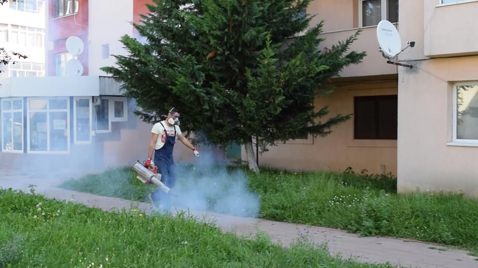 Curățenie generală în municipiul Vulcan