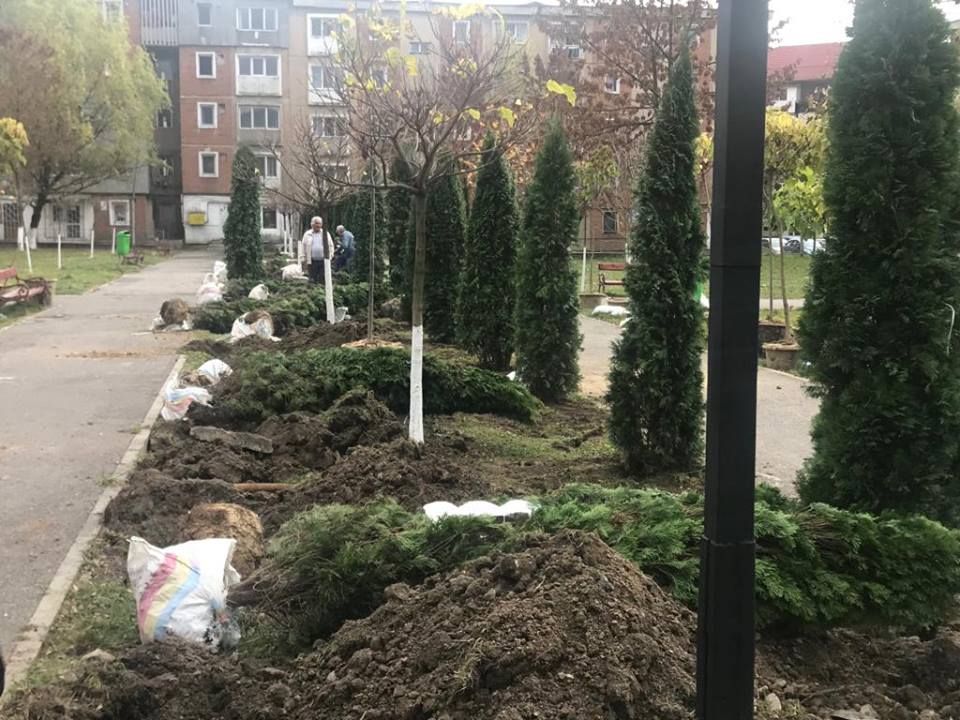 Aer mai curat și zone mai verzi în municipiul Petroșani