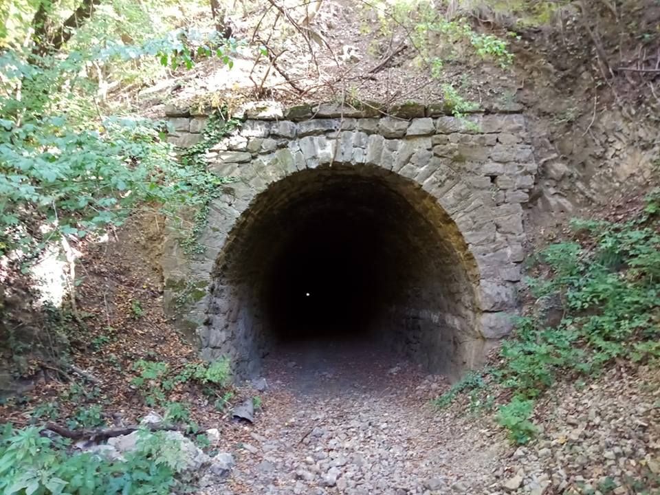 Expoziție inedită, organizată în tunelul de pe prima cale ferată minieră de pe teritoriul Transilvaniei