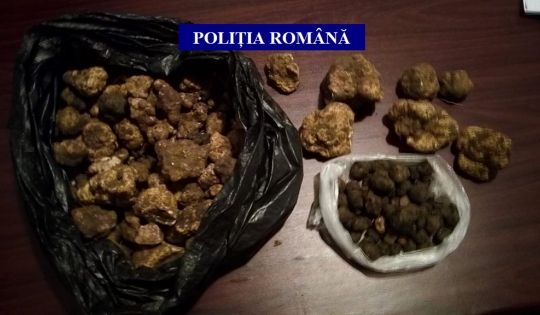 Hunedorean amendat pentru că a cules trufe. „Marfa”, în greutate de patru kilograme, i-a fost confiscată