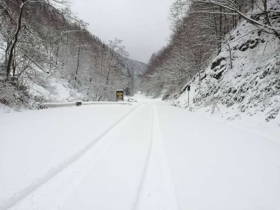 Drumul spre Sarmisegetusa Regia, acoperit de un strat consistent de zăpadă