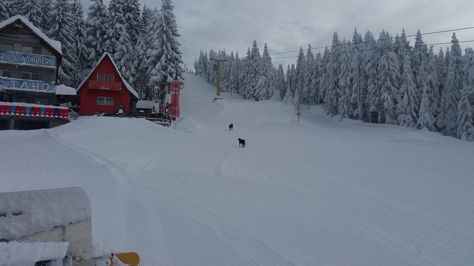 Profesorii și studenții Universității Petroșani se întrec pe pârtie