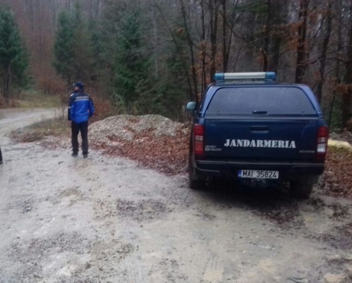 Transport de lemne de foc fără documente, oprit de jandarmi